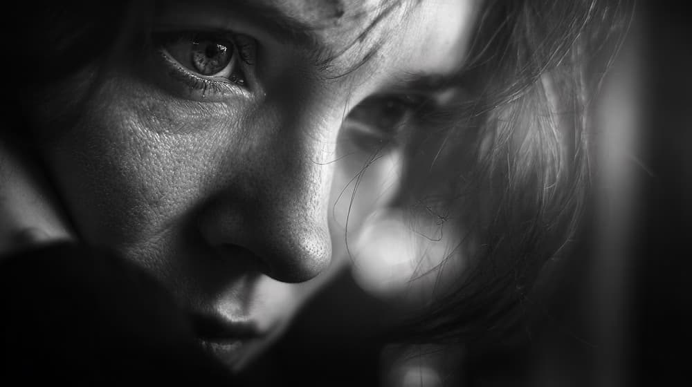 wil portrait 374