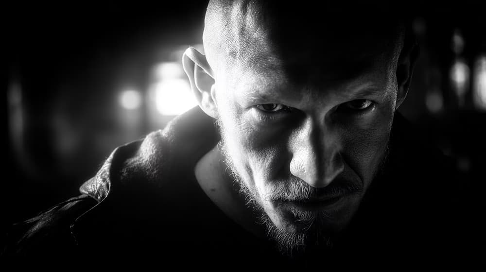 wil portrait 645