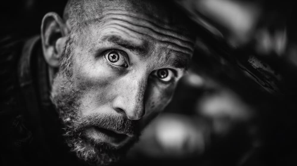 wil portrait 266