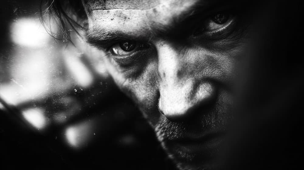 wil portrait 52