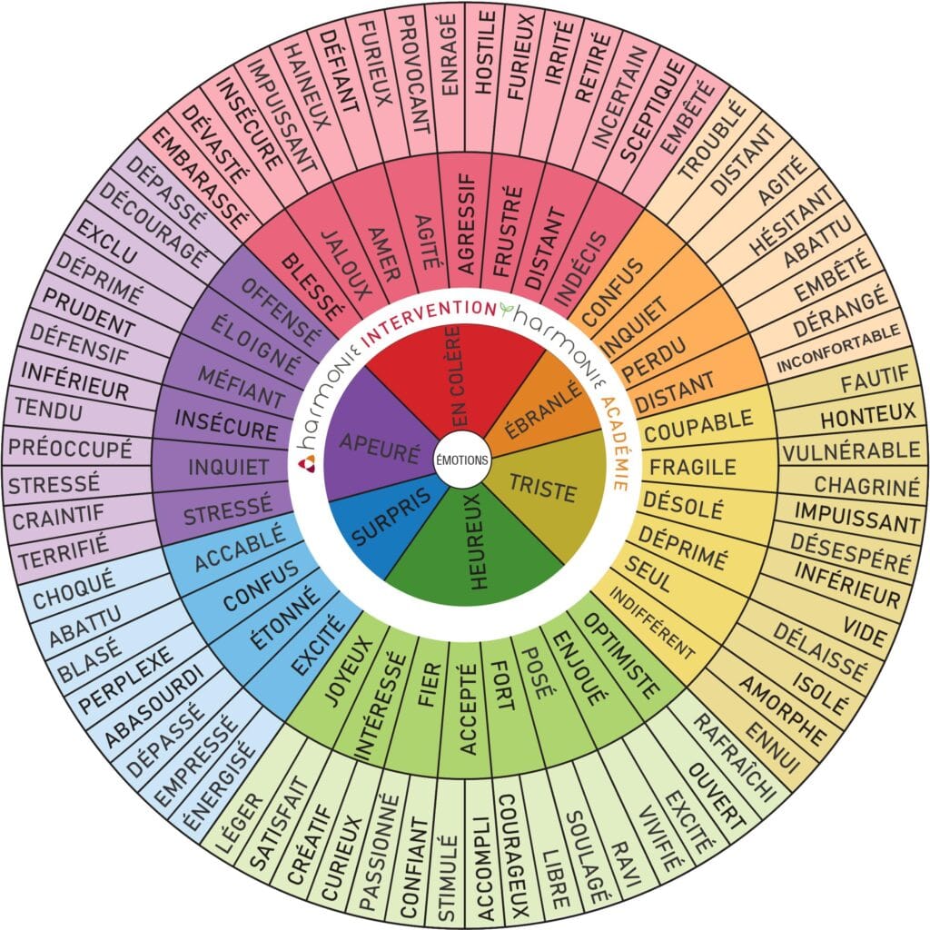 roue emotions whyislife